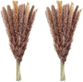 img 4 attached to 🌾 Dried Pampas Grass: 60 Pcs Natural Pompass Branches for Vases, Flower Arrangements, Weddings, and Home Décor