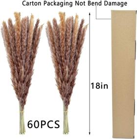 img 3 attached to 🌾 Dried Pampas Grass: 60 Pcs Natural Pompass Branches for Vases, Flower Arrangements, Weddings, and Home Décor