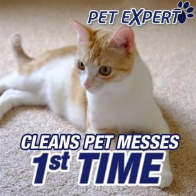 img 1 attached to 🐾 Resolve Pet Stain & Odor Carpet Cleaner, 22 oz (Pack of 4): Eliminate Pet Messes and Odors with Ease!