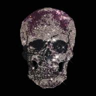 rhinestop purple skull rhinestone design logo