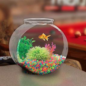 img 1 attached to 🐠 Koller Products 1/2-Gallon Fish Bowl Drum: Clear, 6.3"L x 4.2"W x 6.3"H! Find the Perfect Fish Bowl.