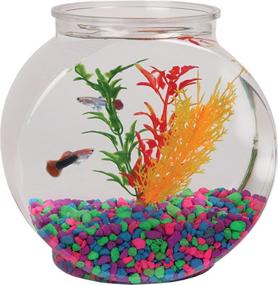 img 2 attached to 🐠 Koller Products 1/2-Gallon Fish Bowl Drum: Clear, 6.3"L x 4.2"W x 6.3"H! Find the Perfect Fish Bowl.