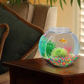 img 3 attached to 🐠 Koller Products 1/2-Gallon Fish Bowl Drum: Clear, 6.3"L x 4.2"W x 6.3"H! Find the Perfect Fish Bowl.