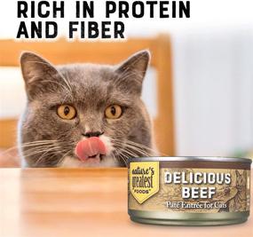 img 2 attached to 🐱 5.5 Oz Beef Canned Cat Food - Tasty Pate Entree - High Protein & Fiber - Complete Meal by Nature's Greatest Foods