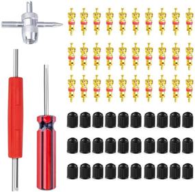 img 4 attached to 🔧 Набор инструментов Terberl для снятия клапанной втулки: включает 30 шт. клапанной втулки, 30 шт. колпачков на клапанную втулку и двух-/одноголовый съемник клапанной втулки - идеальный инструмент для ремонта шин.