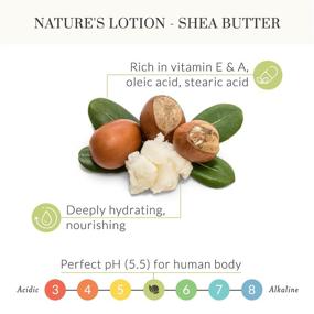 img 3 attached to 🌿 Shea Butter Hand Cream for Sensitive Skin - Tree to Tub. Hydrating Lavender Moisturizer for Women and Men with Fresh Organic Aloe Vera, Vitamin B5, Organic Cocoa Butter, and Rose Water Toner