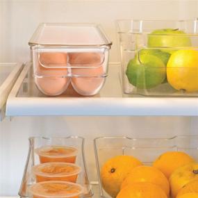 img 3 attached to 🥚 BPA Free Fridge Organizer: Totally Kitchen Plastic Egg Holder with Lid & Handles | Refrigerator Storage Container | Clear 14 Egg Tray