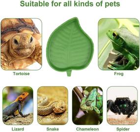 img 3 attached to 🐢 Nuenen 3-Piece Leaf Reptile Food and Water Bowl: Ideal Feeding Plate for Tortoise, Corn Snake, and Crawl Pet. Perfect Aquarium Ornament Supplies in 2 Sizes!