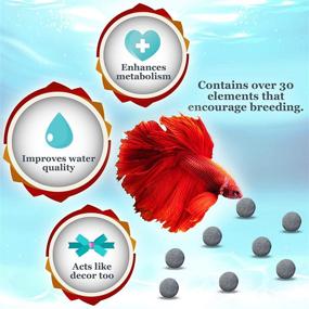 img 2 attached to 🐠 JOR Tourmaline Balls for Betta Fish: 30+ Beneficial Elements, Calcium-Rich Nourishment, Active Fish Beads, Aquarium Décor, 20 Balls/Pack