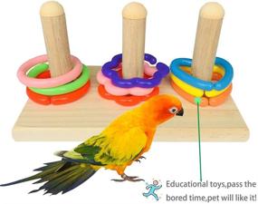 img 3 attached to PINVNBY Educational Tabletop Parakeet Intelligence Cockatiel
