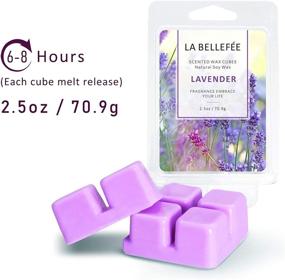 img 3 attached to 🌸 La Bellefée Scented Wax Melts - Natural Soy Wax Cubes for Warmer, Tarts and Wax Melts in Cherry, Rose, Jasmine, and Lavender Scents