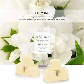 img 1 attached to 🌸 La Bellefée Scented Wax Melts - Natural Soy Wax Cubes for Warmer, Tarts and Wax Melts in Cherry, Rose, Jasmine, and Lavender Scents