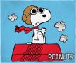 intimo peanuts snoopy dogfight blanket logo