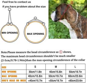 img 3 attached to 🐶 High-Quality Pettom Martingale Training Chain Dog Collar for Small, Medium, and Large Dogs - Durable, Rust-Proof, and Chrome Plated