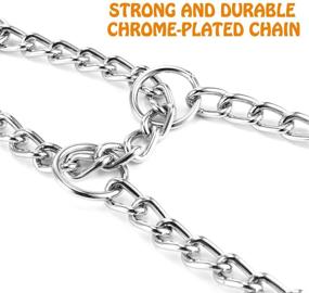 img 1 attached to 🐶 High-Quality Pettom Martingale Training Chain Dog Collar for Small, Medium, and Large Dogs - Durable, Rust-Proof, and Chrome Plated