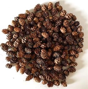 img 1 attached to Natural Brown Pinecones - Approximately 375 Pieces (1/2 lb. Bag) of Assorted Sized 🌲 Pine Cones - Festive Potpourri Elements - Table Scatters for Christmas Decor - DIY Craft Pieces
