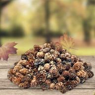 natural brown pinecones - approximately 375 pieces (1/2 lb. bag) of assorted sized 🌲 pine cones - festive potpourri elements - table scatters for christmas decor - diy craft pieces logo
