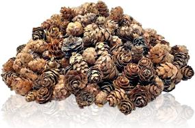 img 2 attached to Natural Brown Pinecones - Approximately 375 Pieces (1/2 lb. Bag) of Assorted Sized 🌲 Pine Cones - Festive Potpourri Elements - Table Scatters for Christmas Decor - DIY Craft Pieces