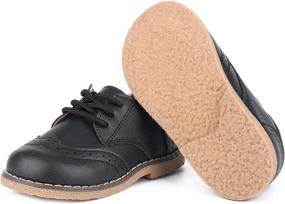 img 2 attached to 👞 LONSOEN Toddler Classic Perforated Boys' Oxfords Shoes