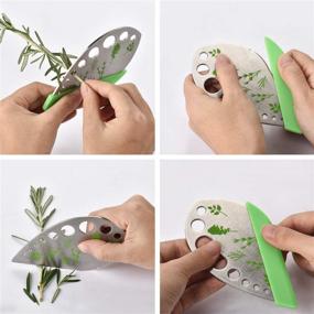 img 1 attached to Effortless Herb Stripping: 9-Hole Stainless Steel Tool for Kale Leaves, Curved Edge Kitchen Gadget