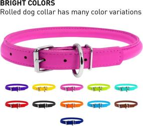 img 2 attached to 🐶 Premium Rolled Leather Puppy Collar for Small Dogs - Adjustable Neck Size - Boy & Girl Designs - Ideal for Large Breed Puppies - Stylish & Durable Puppy Collar