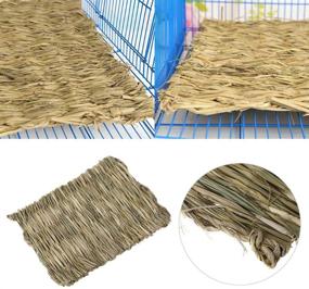 img 1 attached to 🐇 Pack of 3 Woven Grass Mats - Small Animal Bedding, Chew Toy, and Play Toy for Bunny, Guinea Pig, Parrot, Rabbit, Hamster, and Rat - 3 Grass Mats Included