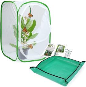 img 4 attached to RESTCLOUD Butterfly Habitat Platter Monarch Learning & Education