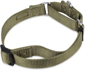 img 3 attached to 🐾 Premium Upgraded Heavy Duty Nylon Anti-Escape Martingale Collar for Boy and Girl Dogs - Comfy, Safe & Ideal for Professional Training, Daily Walks