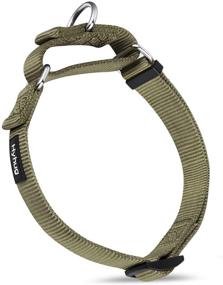 img 4 attached to 🐾 Premium Upgraded Heavy Duty Nylon Anti-Escape Martingale Collar for Boy and Girl Dogs - Comfy, Safe & Ideal for Professional Training, Daily Walks