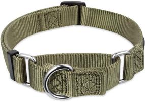 img 2 attached to 🐾 Premium Upgraded Heavy Duty Nylon Anti-Escape Martingale Collar for Boy and Girl Dogs - Comfy, Safe & Ideal for Professional Training, Daily Walks