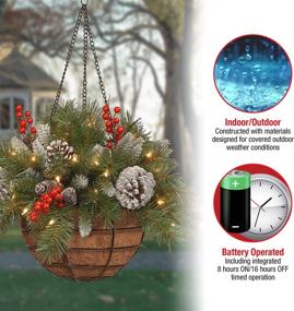 img 1 attached to 🎄 National Tree Company Pre-Lit Artificial Christmas Hanging Basket, Frosted Berry - 20 Inches, White LED Lights