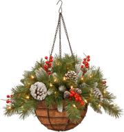 🎄 national tree company pre-lit artificial christmas hanging basket, frosted berry - 20 inches, white led lights logo
