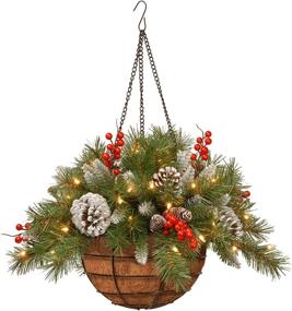 img 4 attached to 🎄 National Tree Company Pre-Lit Artificial Christmas Hanging Basket, Frosted Berry - 20 Inches, White LED Lights