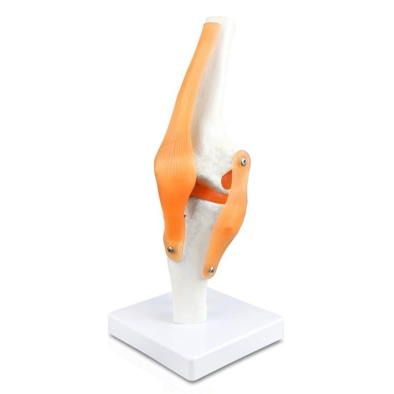 walter products b10212 높이 길이 로고