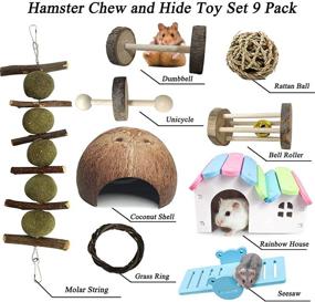 img 3 attached to Hamiledyi Hamster Natural Accessories Gerbils