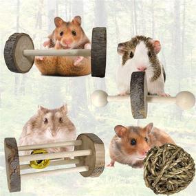 img 2 attached to Hamiledyi Hamster Natural Accessories Gerbils
