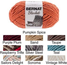 img 1 attached to 🧶 Bernat 16111010006 Blanket Yarn, 10.5 oz, Vintage White - Soft & Versatile Crafting Material