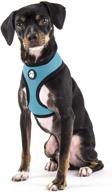 🐾 furhaven pet: hands-free bungee dog leash, led collar, leash extender, and more - active dogs and cats - multiple colors, styles, & sizes logo