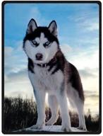 🐺 premium 60" x 80" blanket: soft cozy warmth, easy care | white black husky huskie dogs logo