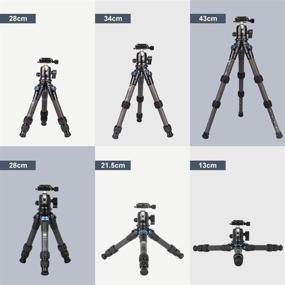 img 2 attached to 📷 SIRUI AM-223 Carbon Fiber Camera Tripod: Mini Travel Tripod with Compact Desktop Design, 360° B-00K Ball Head, Arca Swiss Quick Release Plate, and 15KG Load Capacity