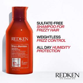 img 2 attached to Redken Frizz Dismiss Hair Holiday