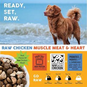 img 1 attached to Enhance Your Pet's Health with Nature's Diet Raw Mix Kibble - Infused with Freeze-Dried Chicken, Superfoods, and Probiotics