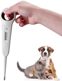 img 4 attached to aurynns Pet Dog Thermometer: Fast Digital Veterinary Thermometer for Dogs, Cats, Pig, Sheep - Accurate Anus Thermometer (℉)