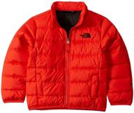 the north face boys' andes jacket for little kids and big kids logo