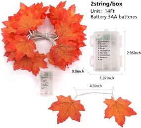 img 1 attached to 🍁 Liacere 2 Pack Fall Maple Leaf String Lights - 29.52Ft/80 Lights 8 Modes - Waterproof Battery Box - Perfect Thanksgiving & Home Decor