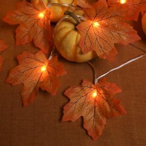 img 2 attached to 🍁 Liacere 2 Pack Fall Maple Leaf String Lights - 29.52Ft/80 Lights 8 Modes - Waterproof Battery Box - Perfect Thanksgiving & Home Decor