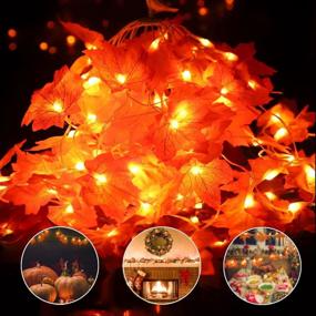 img 4 attached to 🍁 Liacere 2 Pack Fall Maple Leaf String Lights - 29.52Ft/80 Lights 8 Modes - Waterproof Battery Box - Perfect Thanksgiving & Home Decor