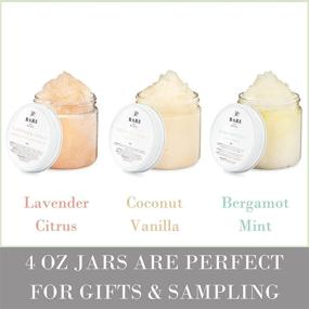 img 2 attached to 🧖 Bare Botanics Salt Scrub Sample & Gift Set: Gentle Exfoliator & Super Moisturizer - All Natural, Non-Greasy Formula, Nut Oil-Free & Fragrance-Free, Perfect Body Scrub