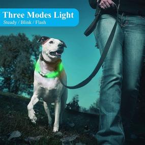 img 3 attached to Cuttable Two-Pack Light-Up Dog Collars: USB Rechargeable LED Pet Safety Collar 🐶 with Steady/Flash/Blink Light – Glowing Collar for Small, Medium, and Large Dogs (Green/Yellow)