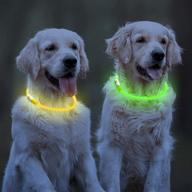 cuttable two-pack light-up dog collars: usb rechargeable led pet safety collar 🐶 with steady/flash/blink light – glowing collar for small, medium, and large dogs (green/yellow) logo